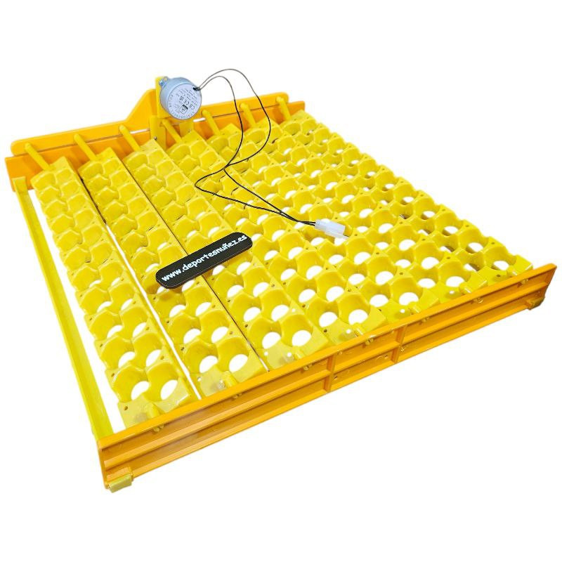 BANDEJA DE VOLTEO 154 HUEVOS DE CODORNIZ