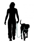 Collares de Adiestramiento para Perros | Antiladridos y Beeper