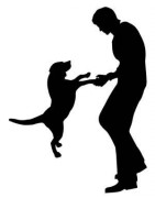 Collares de Adiestramiento para Perros | Deportes Núñez